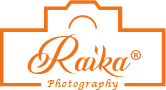 logo 350-100